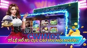 CWIN01